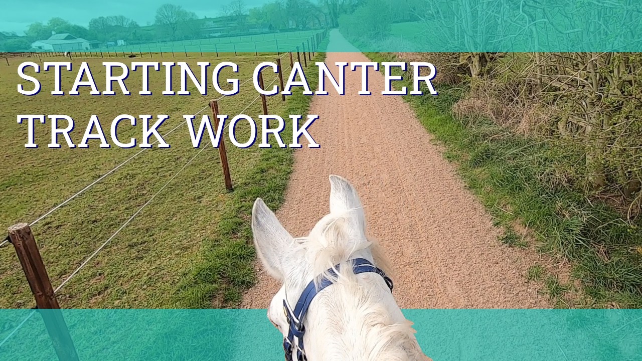 Training an Endurance horse on Canter tracks - Vlog 317 - Beth ...