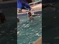 Live Highlight 