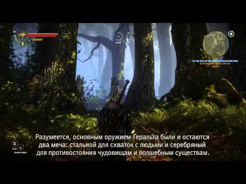 Video: Detail Spesifikasi Sistem The Witcher 2