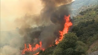 Algérie : des feux de forêt ravageurs font au moins 26 morts