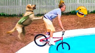 Funny Animals 2024   New Funniest Cats and Dogs Video