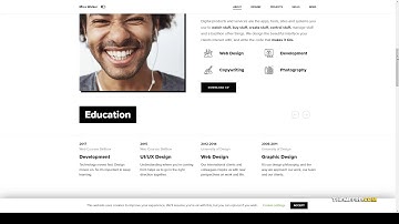 Rezo - Resume vCard CV WordPress vcard theme online resume Easy Create Website