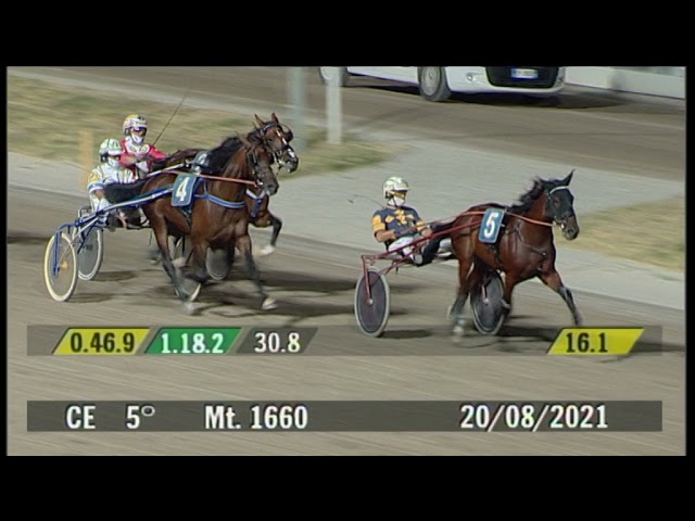 2021 08 20 | Corsa 5 | Metri 1660 | Premio Glauco Sapignoli