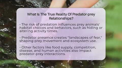 What Is The True Reality Of Predator-prey Relationships? - Ecosystem Essentials
