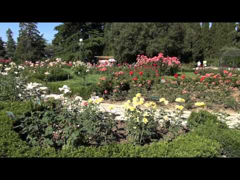Video: Botanischer Garten Nikitsky