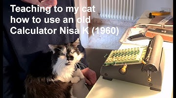 Teaching to my cat how to use an old calculator Nisa from 1960s
