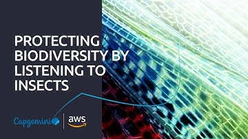 The Biodiversity Buzz - protecting insect biodiversity through Data & AI