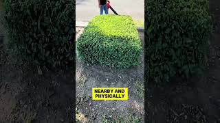 Crazy Neighbor CALLED COPS Helping 82yo Veteran 😱 #shorts #lawncare #mowing