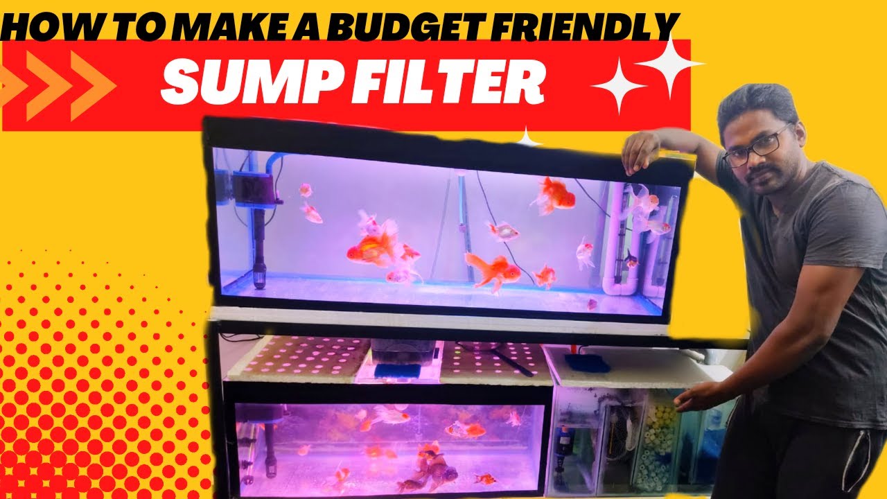Best filtration setup for large aquarium tanks | இதுல இவ்வளவு நுணுக்கங்கள் இருக்கா🤔