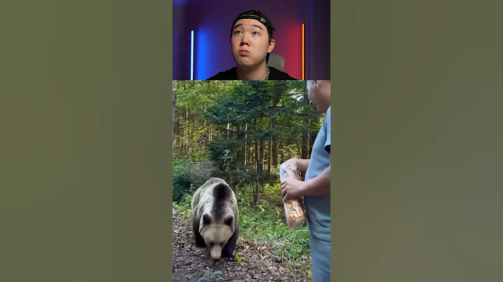 Try Not to Laugh Challenge 1227 🤣 #funny ⁠#shorts #viral