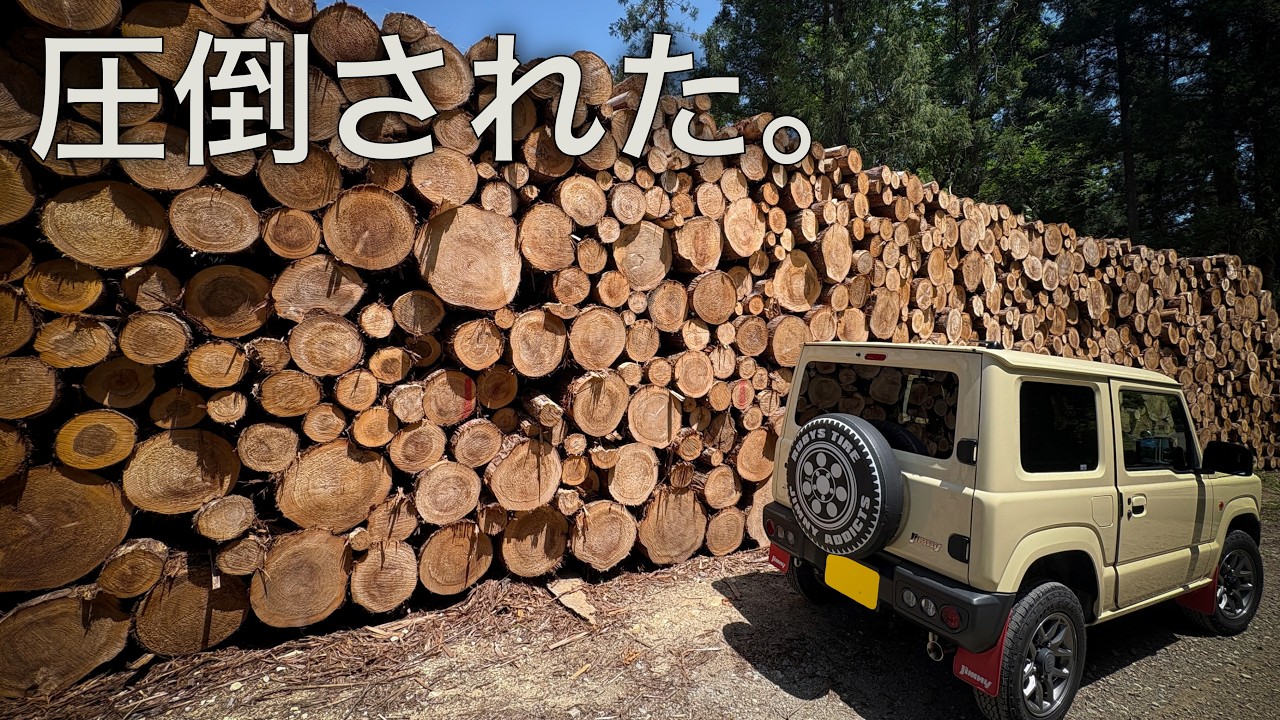 I Was Blown Away. Kunozawa Forest Road, a Wall of Logs Reached by