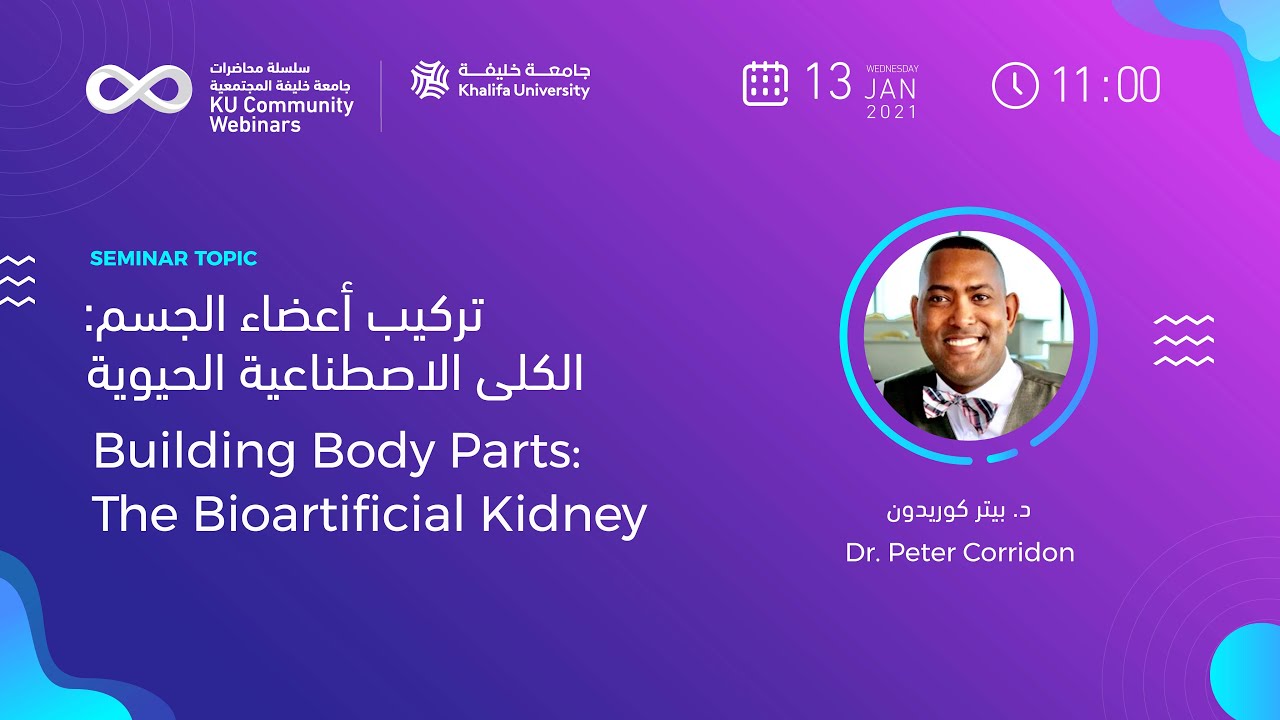 Building Body Parts: The Bioartificial Kidney by Dr. Peter Corridon ...