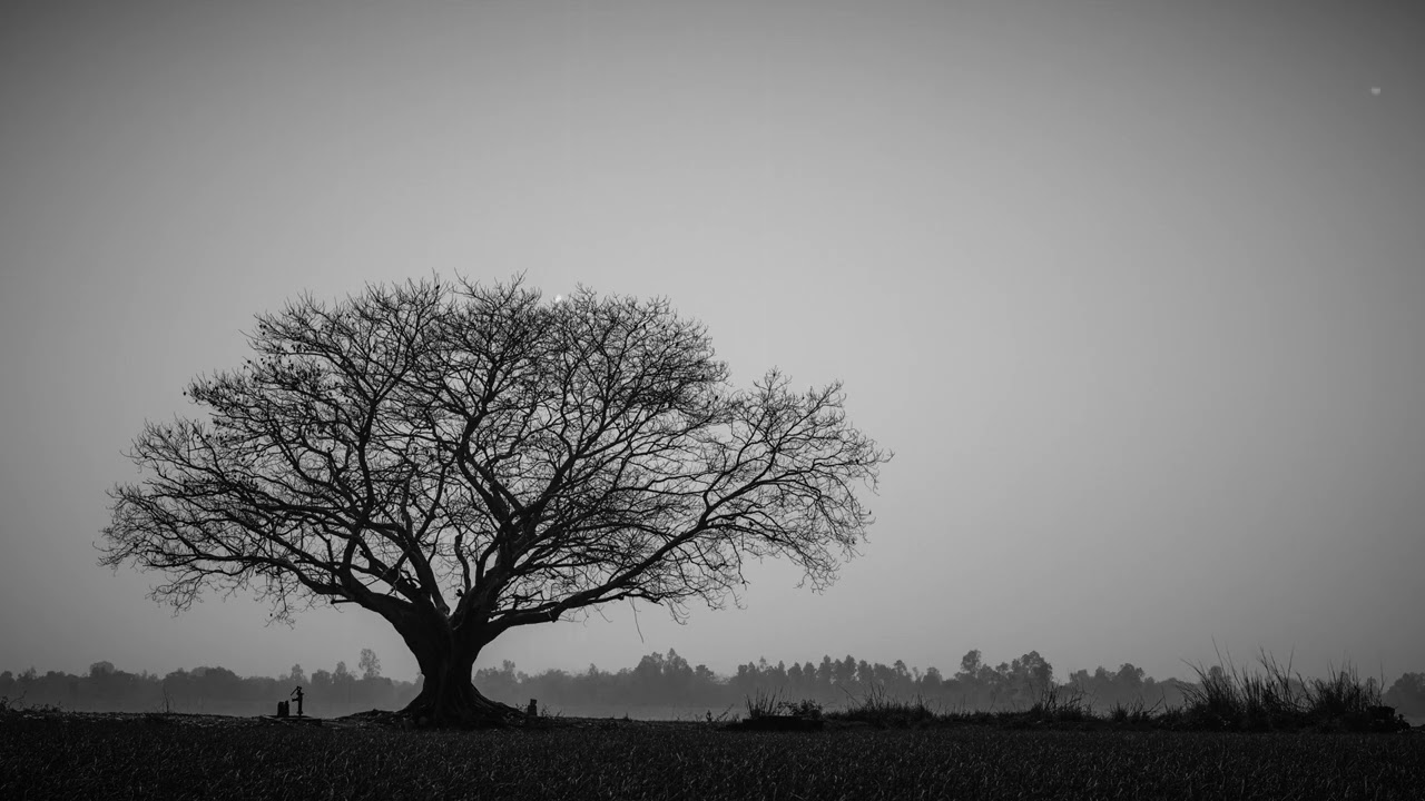maybe we were just two different people after all (a playlist)