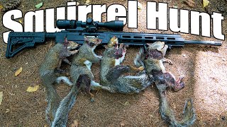Early Season SQUIRREL Hunting With a Ruger 10/22