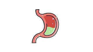Flat Design Animated Human Stomach with Digestive Fluid | No Copyright Stock Video