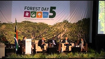 How is REDD+ unfolding on the ground? An exploration of the social, political and biophysical issues