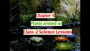 Plants around us 🌴🌳/ Class-2 Science/Chapter-1/CBSE/Science videos/Hindi