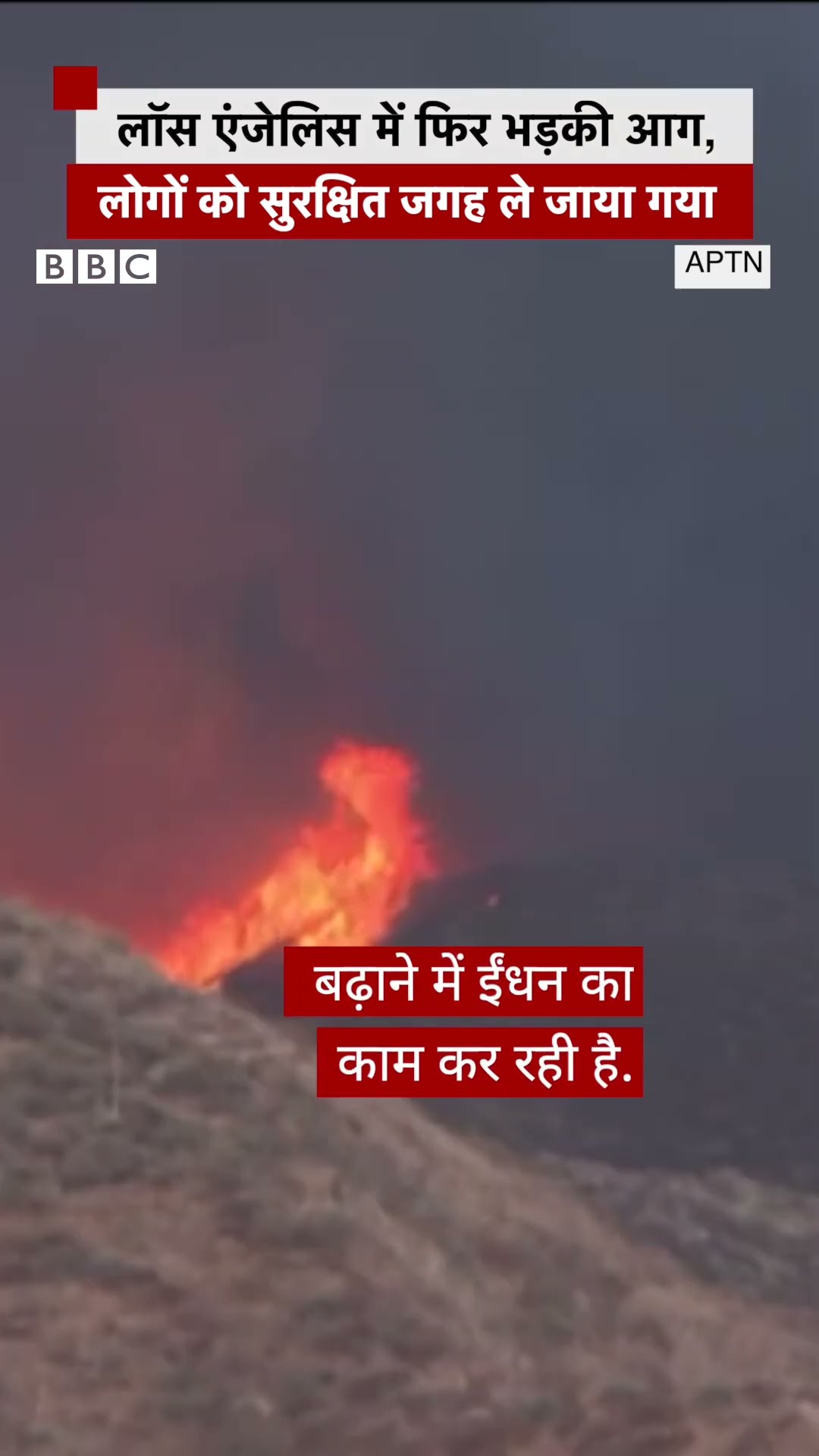 America Wildfire: लॉस एंजेलिस में फिर भड़की आग #fire #shorts  (BBC Hindi)