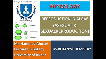 ASEXUAL and SEXUAL REPRODUCTION types in algae #botany #lecture #algae #phycology #reproduction