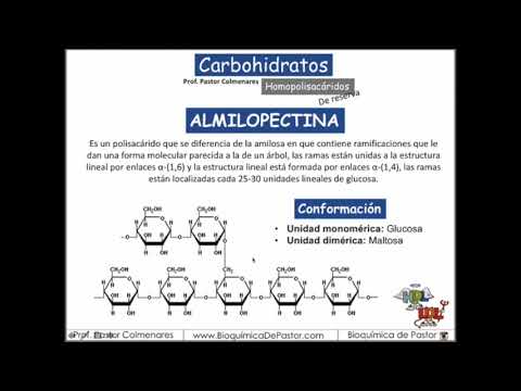 Vídeo: Diferencia Entre Amilopectina Y Glucógeno