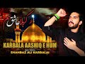 Karbala ashiq hain hum  shahbaz ali karbalai  202021