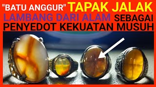 Batu Anggur Tapak Jalak Lambang Dari Alam Sebagai Penyedot Kekuatan Musuh