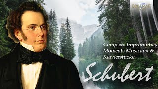 Schubert: Complete Impromptus, Moments Musicaux & Klavierstücke