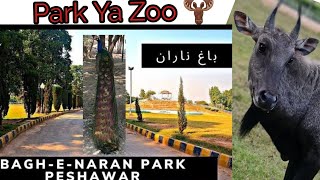 Let's Explore Bagh E Naran Peshawar ! Baby With Daddy ! Park & Zoo 🫎👌 #baby #daddy