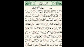 سورة البلد - القارئ - باسم الوصابي