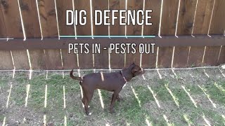 Dig Defence