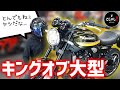 【Z900RS】一番売れたレトロスポーツが超絶クセになる大型バイクだった件【試乗インプレ】