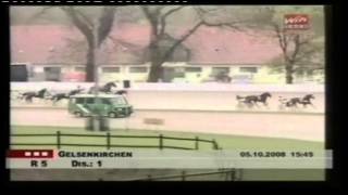 Gelsenkirchen Breeders Crown Hauptlauf 2Jährige Stuten 2008