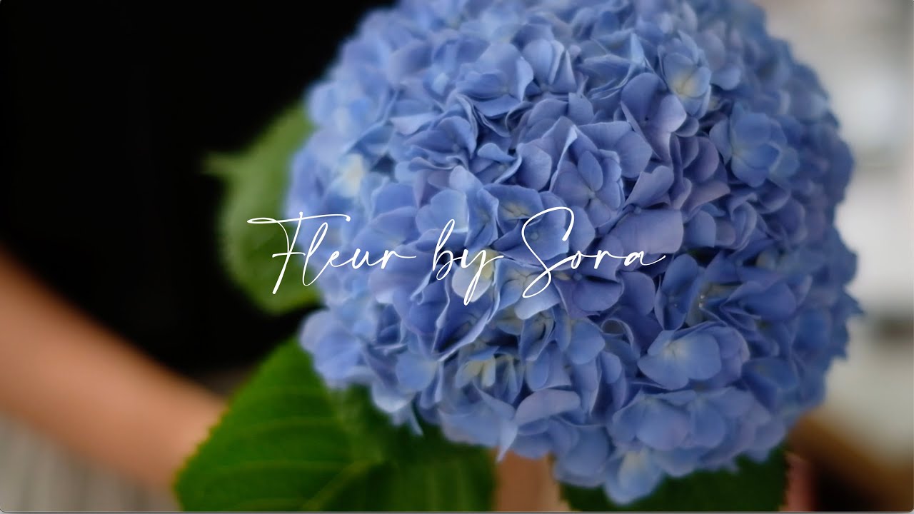 Florist Vlog #10 /  Hydrangea Bouquet in Wrapped - How to Make a Wrapped Bouquet