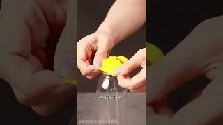 奇妙科学实验，带你畅游科学海洋#科学启蒙 #趣味实验 #手工制作 #小实验大道理 #妙招分享 #正速手工折纸