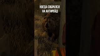 #игра #игры #rust #раст