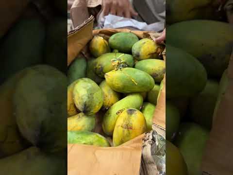 سندھ کا آم