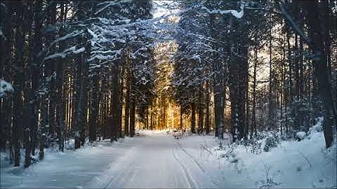 تلاوة عذبة للشيخ سعد الغامدي تنسيك هموم الحياة  سورة يس sheikh saad alghamdy surat yassin