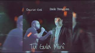 Zade Tamoyan ft. David Odi - Tu Gula Mni (Official song 2020)