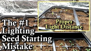 The #1 Lighting Seed Starting Mistake to Avoid: Proper Lighting Distance & Duration at Germination