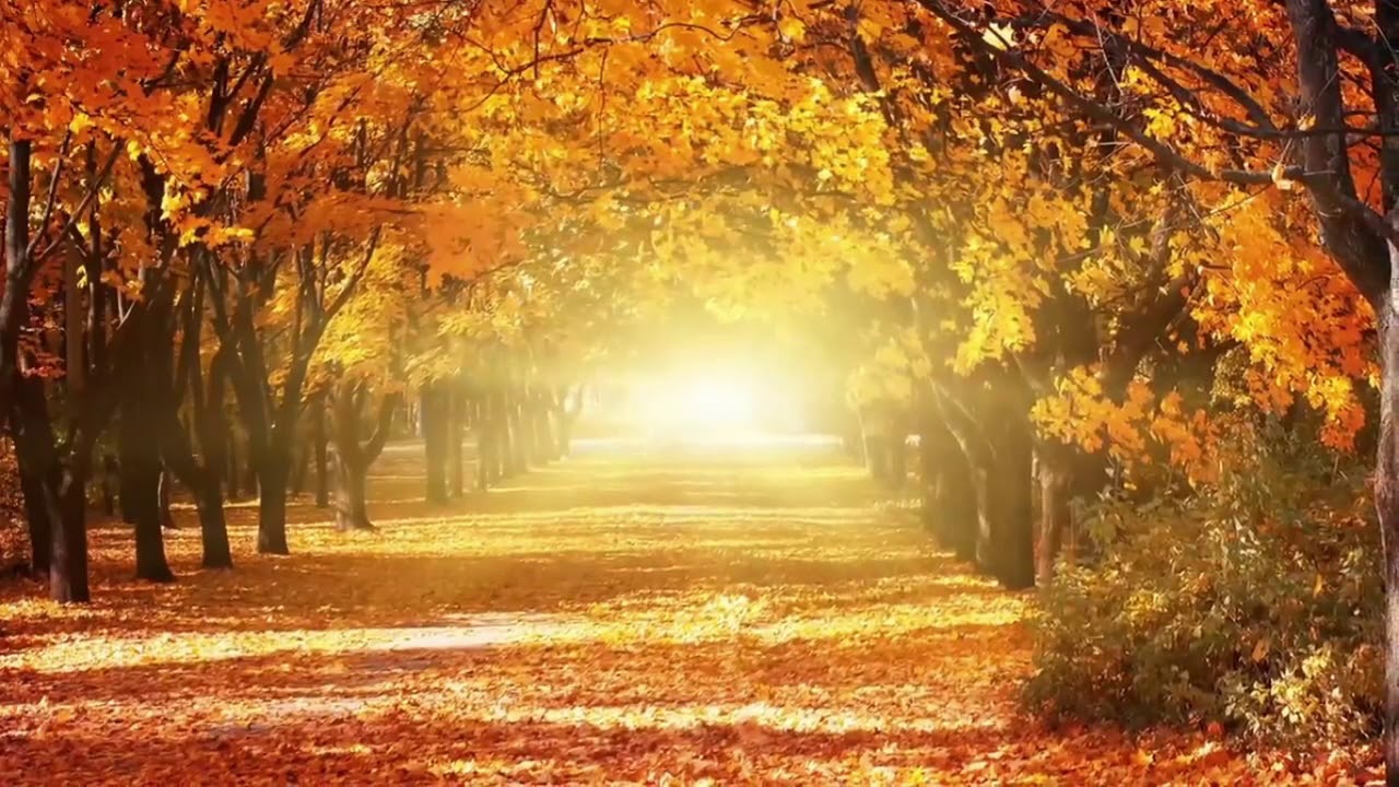 Иван Бунин - Счастлив я, когда ты голубые очи - YouTube