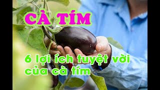 Sức Khỏe : 10 lợi ích tuyệt vời của cà tím