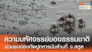 ความมหัศจรรย์ของธรรมชาติ ชวนชมกองทัพปูทหารนับล้านที่ จ.สตูล l TNN ข่าวเช้า l 09-05-2024