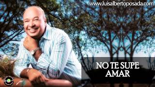 Luis Alberto Posada - No Te Supe Amar (Audio Oficial)