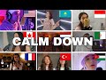 Whosangitbetter : Rema, Selena Gomez - Calm Down (France, turkiye, Indonesia, Algeria, Netherlands)