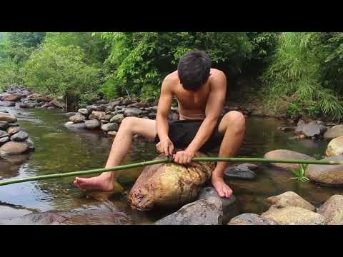 ვიდეო: როგორ გავაკეთოთ თევზები რომ შეგიყვარდეთ