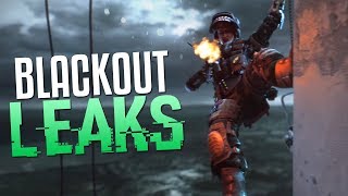 Black Ops 4 Blackout Leak Analysis (Seems Legit)