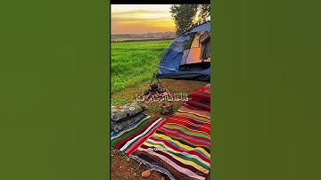 إن تصبك حسنة تسؤهم || سورة التوبة || القارئ محمد احمد حسن الطالب الازهري #الأزهر #طالب_الازهر