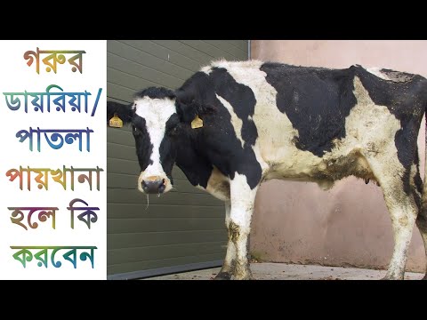 ভিডিও: এটি কি ডিগ্রেডেড মোড ছিল?