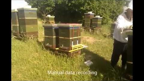 Digital Beehive Weight Scale