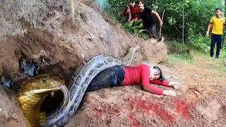 Terrible Brave girl attacked by giant snake Seeking help from hunter | king Fishing